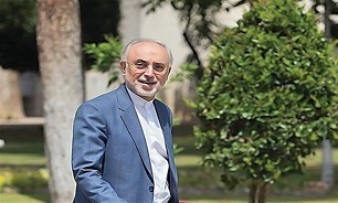 Iran's AEOI Dismisses US Sanctions against Chief of Agency