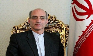 Iran’s Ambassador Elected Vice-Chair of OPCW Executive Council