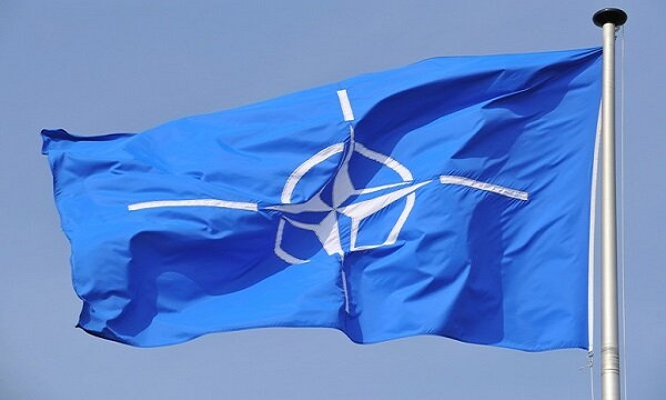 Zelensky says no longer interested in NATO's diplomacy