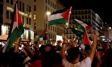 Austrians hold pro-Palestine rally in Vienna