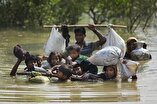Hundreds of Rohingya Muslims flee to Bangladesh daily