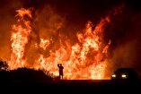 US Citizens' Criticism of the Los Angeles Wildfire and Comparing it with Gaza Condition