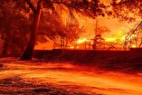 Looters Increase as Wildfires Rage in Los Angeles