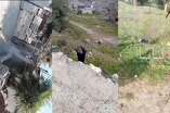 Secret Operation of the Jolani Regime to Erase Evidence of Massacres in Syria