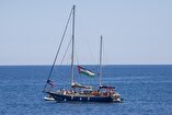 Madelin: A Symbol of the Global Will to Save Gaza