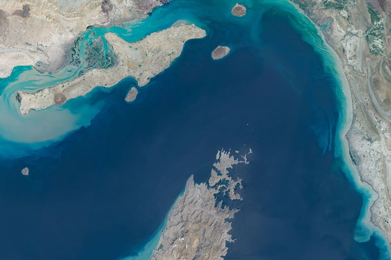 Ship Movement in the Strait of Hormuz Has Completely Stopped