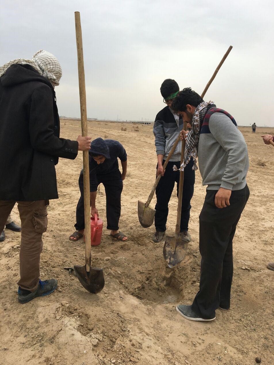 غرس ۶۰۰ نهال توسط دانشجویان امیرکبیر در اردوی راهیان‌نور+ عکس