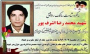 یادواره شهید «محمدرضا اشرف‌پور» برگزار می‌شود