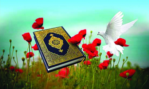 دیدار امام زمان(عج)، پیروزی رزمندگان، طول عمر امام و شهادت از آرزوهایش بود دیدار امام زمان(عج)، پیروزی رزمندگان، طول عمر امام و شهادت از آرزوهایش بود