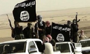 50 عضو داعش در ازبکستان بازداشت شدند