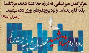 یادواره ۸۰ شهید محله «باغ پنبه» قم برگزار می‌شود
