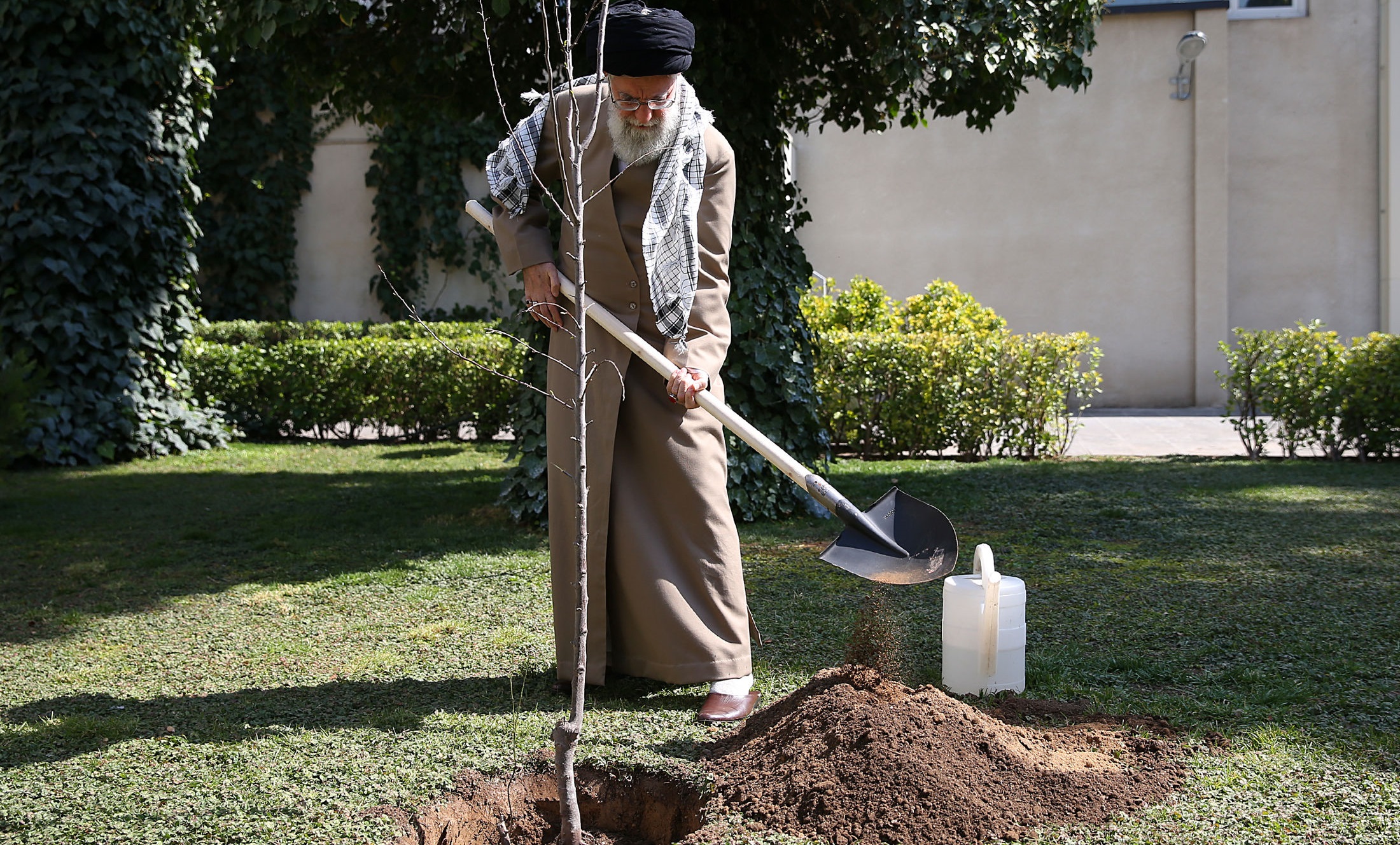 حفظ پوشش گیاهی باید جایگاه واقعی خود را در فرهنگ عمومی پیدا کند