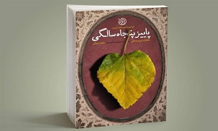 رونمایی از کتابی که با پیگیری‌های سردار سلیمانی تدوین و چاپ شد