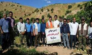 اعزام گروه‌های جهادی کوهدشت به بزرگ‌ترین انجیرستان ایران