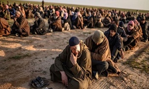 تروریست‌های داعشی غیر عراقی را تحویل نمی‌گیریم