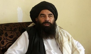 طالبان برای صلح با آمریکا شرط گذاشت