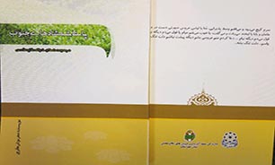 «پای شمشادهای جنوب»