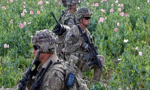 طالبان: اشغالگری آمریکا، افغانستان را به منبع تولید مواد مخدر تبدیل کرد