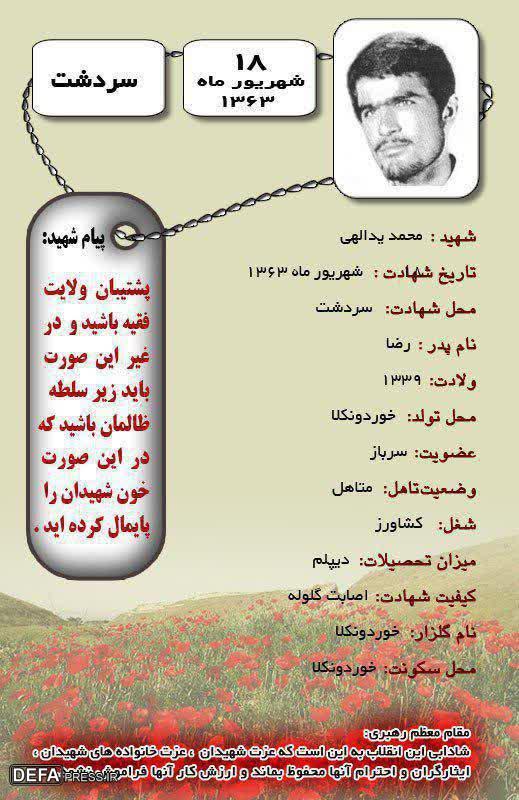 اینفوگرافی / شهید «محمد یداللهی یائی»
