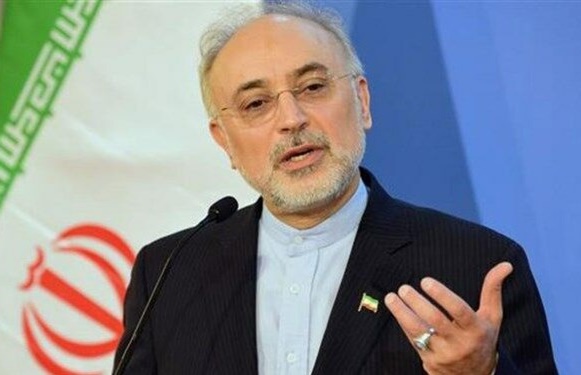 ملاحظات اصولی ایران در بیانیه مشترک با آژانس در نظر گرفته شد