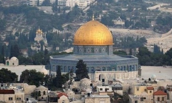 سازمان ملل، قطعنامه‌های مخصوص فلسطین را عملا اجرا کند