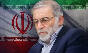 تشکیل زنجیره انسانی به مناسبت شهادت شهید «فخری‌زاده» در برازجان