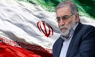 ترور شهید «محسن فخری‌زاده» نشان از زبونی و خاری دشمنان قسم خورده ایران است
