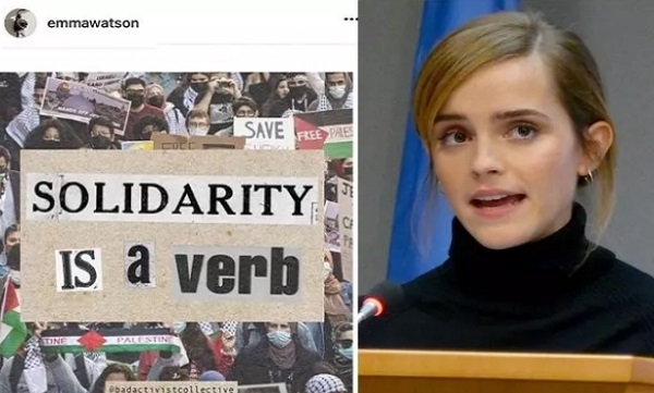 بازتاب حمایت بازیگر «هری پاتر» از «فلسطین» / همبستگی یک فعل است.