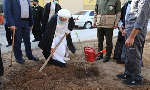 کاشت نهال توسط امام جمعه یزد به مناسبت روز درختکاری