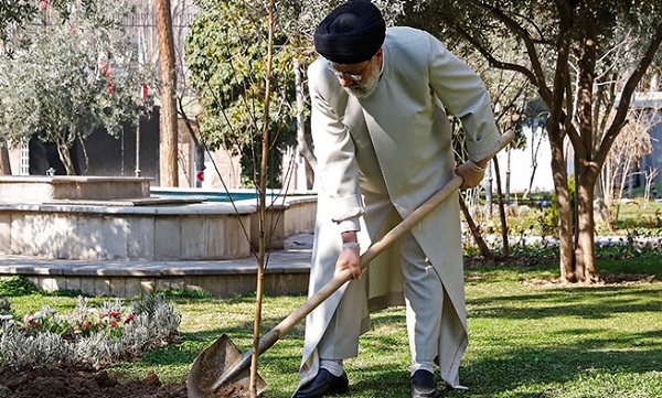 کاشت یک نهال در روز درخت‌کاری توسط رئیس جمهور