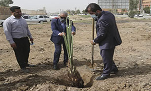 آغاز طرح هر شهروند یک نهال در آبادان