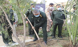 کاشت نهال می‌تواند به حل مشکل ریزگردها در خوزستان کمک کند