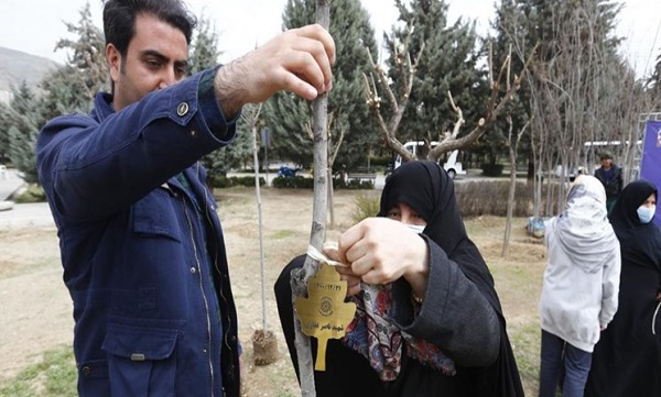 غرس ١٠٠ اصله نهال در دریاچه شهدای خلیج فارس با حضور خانواده شهدا