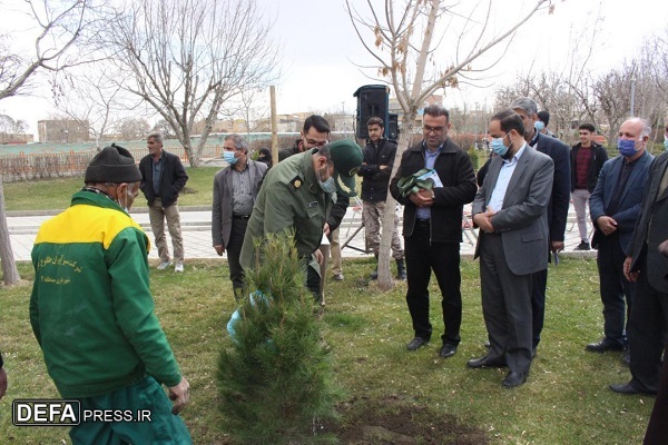 کاشت درخت به یاد ۸ شهید والامقام در باغ ایرانی +تصاویر