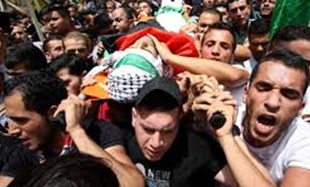 شمار شهدای فلسطینی به ۱۴۵ نفر رسید