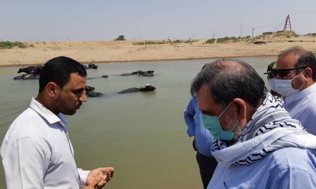 دولت پاسخگوی ضرر و زیان ناشی از سوء مدیریت آب در خوزستان باشد