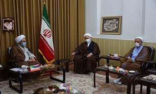 ۱۳ دستگاه عضو کارگروه طرح هادی هستند