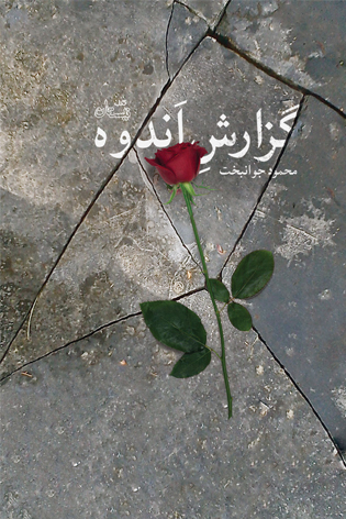 «گزارش اندوه» کتاب برگزیده جشنواره حبیب غنی‌پور
