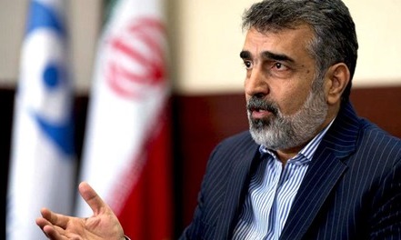 سخنگوی سازمان انرژی اتمی: ایران با مواضع اصولی صنعت هسته‌ای را پیگیری می‌کند