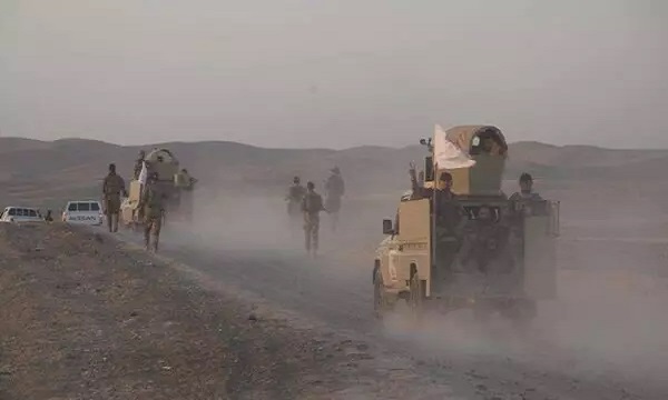 «حشد شعبی» عراق در جنوب «سامرا» عملیات انجام داد