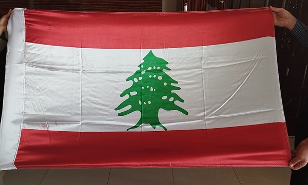 تاثیرات مخرب تاخیر در انتخاب رئیس جمهور لبنان