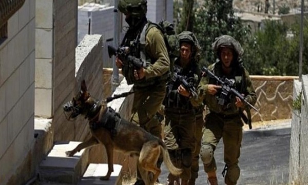 بازداشت ۲۲ فلسطینی در نقاط مختلف کرانه باختری