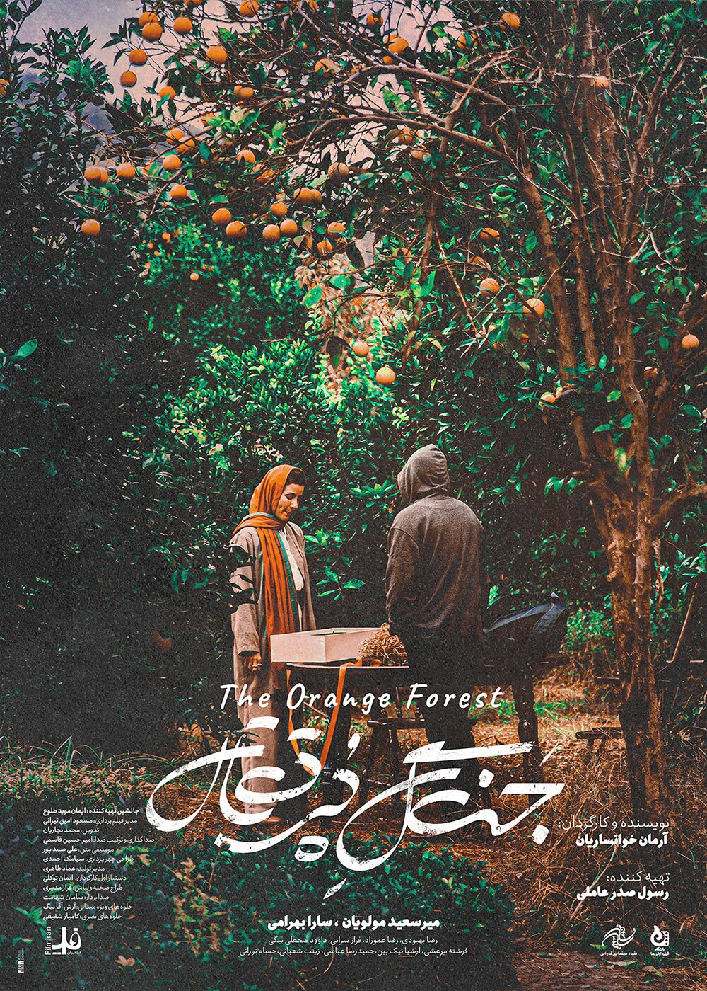 دومین روز جشنواره فیلم فجر برای فیلم اولی‌ها