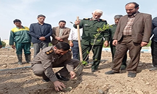 درخت می‌کاریم تا یاد شهدای سرو قامت خرمشهر را سبز نگه داریم