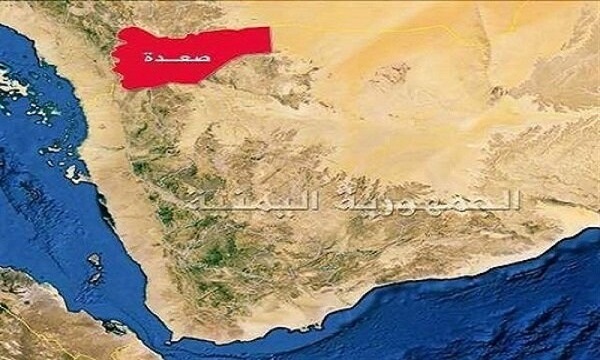 محکومیت جنایت‌های عربستان علیه شهروندان یمنی