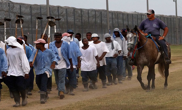 زندان‌‎های آمریکا؛ نمونه بارز برده داری مدرن