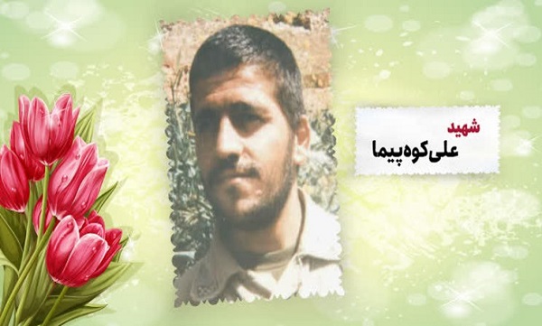 شهید کوه‌پیما: جوانان، دعا را از یاد نبرید