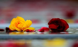 غبارروبی مزار شهدای بخش پیشین شهرستان راسک //سلام// در انتخاب عکس اخبار بسیار دقت کنید/// زمان خبر لحاظ شود// سرپرست بنیاد!!!؟//