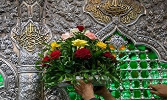 فیلم/ گل‌آرایی و تزئین حرم های مطهر ۶ امام معصوم (ع) در عراق