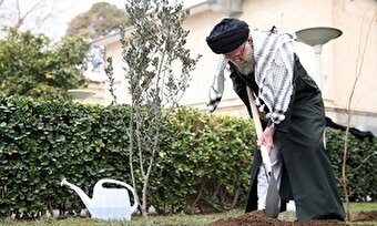 فیلم/  پیام خبرنگار زن فلسطینی درباره نهال درخت زیتون